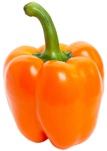 Organic Orange Bell Pepper - EACH