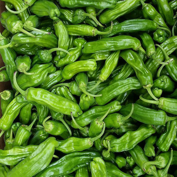 Organic Shishito Peppers - PINT
