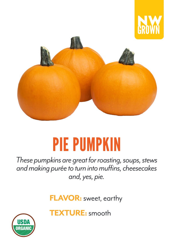 Pie Pumpkin variety card
