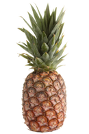 Organic Gold Pineapple - EACH-1