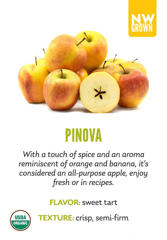 Pinova variety card