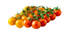 Organic Cherry Brites - PINT