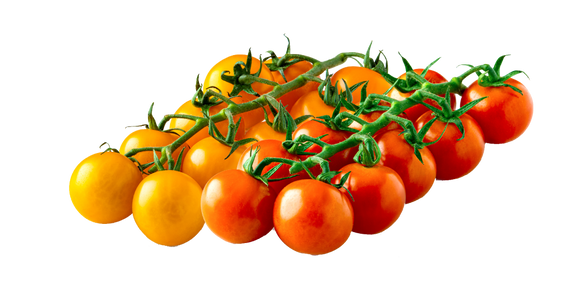 Organic Cherry Brites - PINT