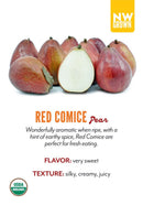 Red Comice variety card