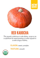 Red Kabocha Squash variety card