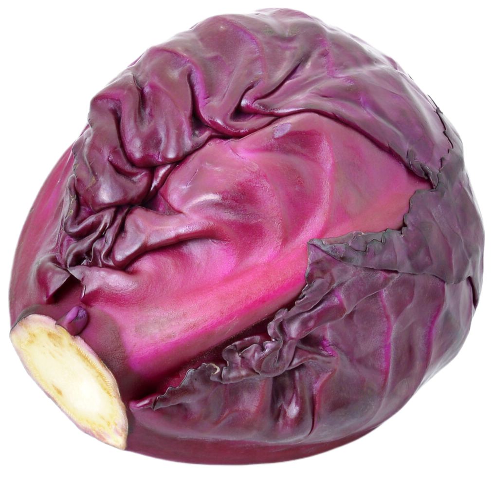 Organic Purple Cabbage - EACH