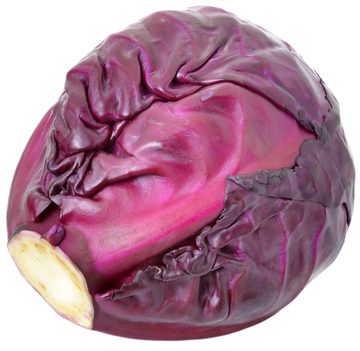 Organic Purple Cabbage - EACH