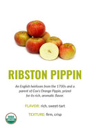 Ribston Pippin variety card