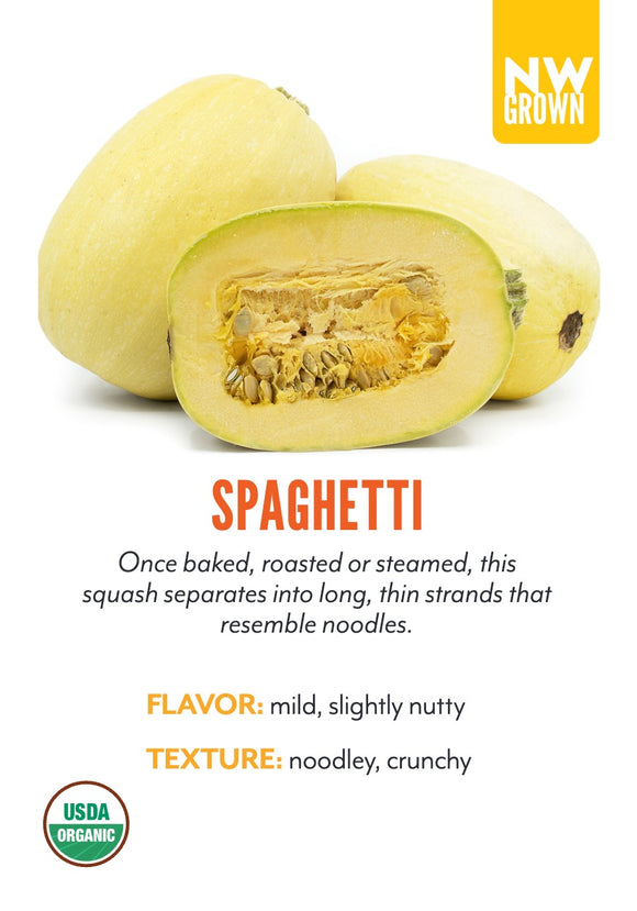 Spaghetti Squash variety card
