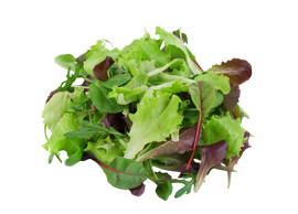 Organic Spring Mix - 5 OZ