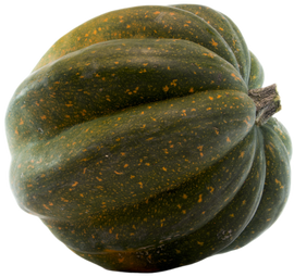 Organic Acorn Squash - PER LB