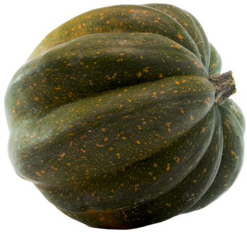 Organic Acorn Squash - PER LB