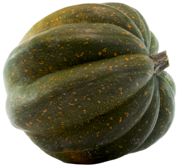 Organic Acorn Squash - PER LB