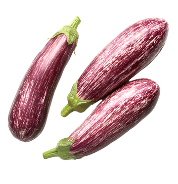 Organic Striped Eggplant - EACH