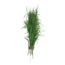 Organic Tarragon - BUNCH