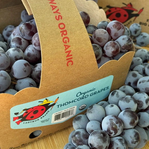 Organic Thomcord Grapes -  1.5 LB TOTE