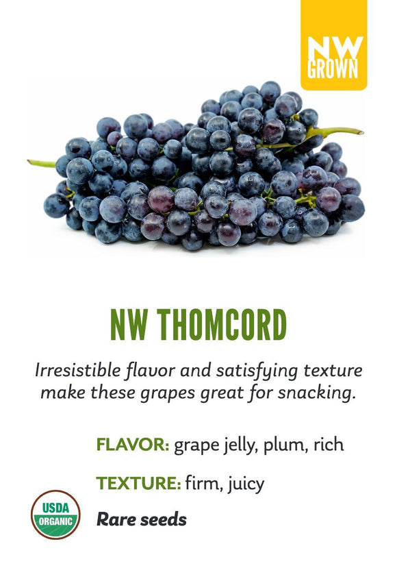 Thomcord variety card