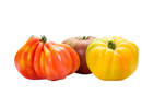 Organic Heirloom Tomatoes - PER LB-1