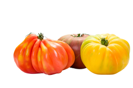 Organic Heirloom Tomatoes - PER LB