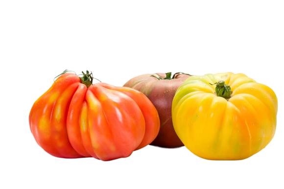 Organic Heirloom Tomatoes - PER LB