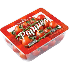 Organic Tomato Poppies - PINT