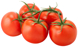 Organic Tomatoes on the Vine - PER LB