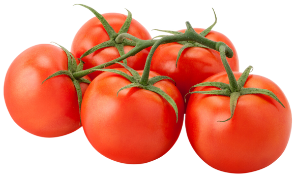 Organic Tomatoes on the Vine - PER LB