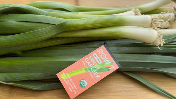 Organic Garleek - BUNCH