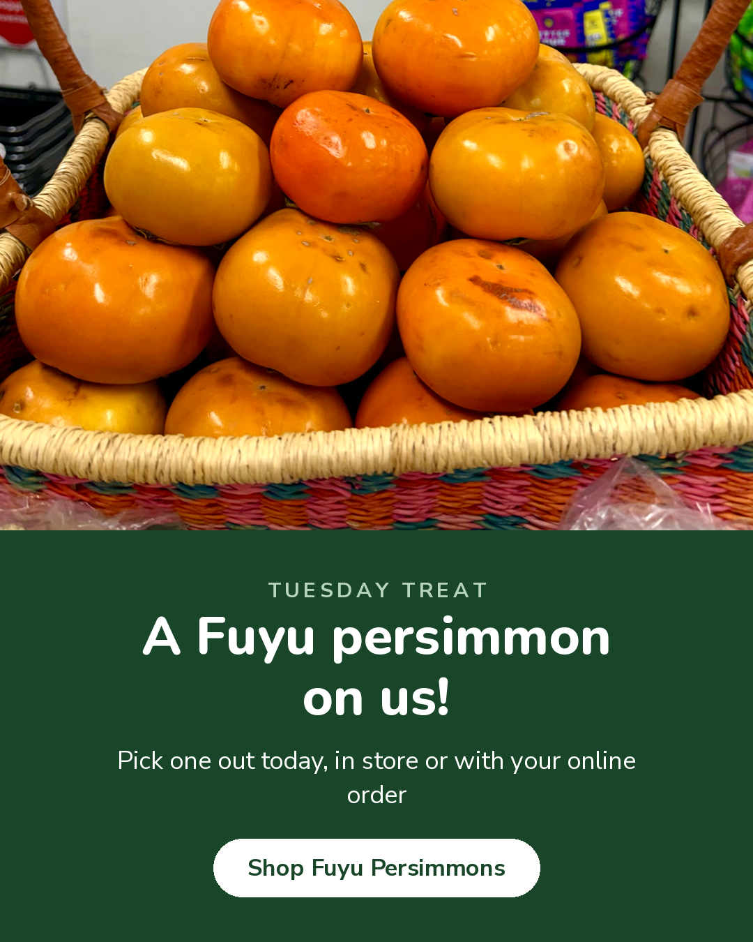 Tuesday Treat, a Fuyu persimmon on us