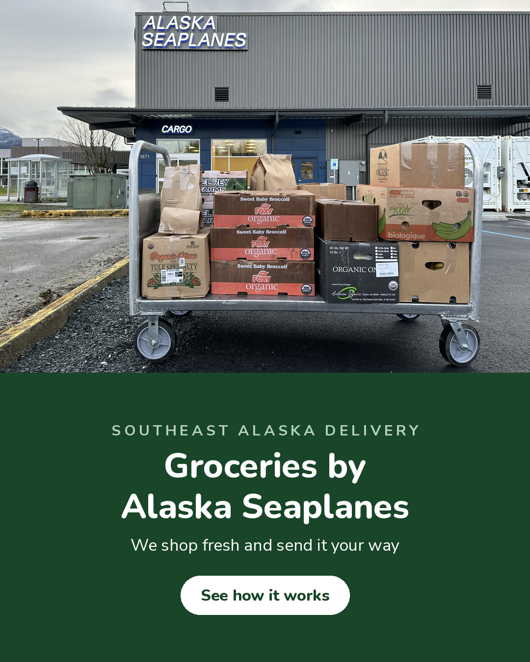 Groceries by Alaska Seaplanes