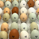 Local Chicken Eggs - 1 Dozen-2