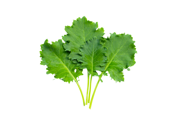 Organic Commonplace Farm Petite Kale - 5 OZ