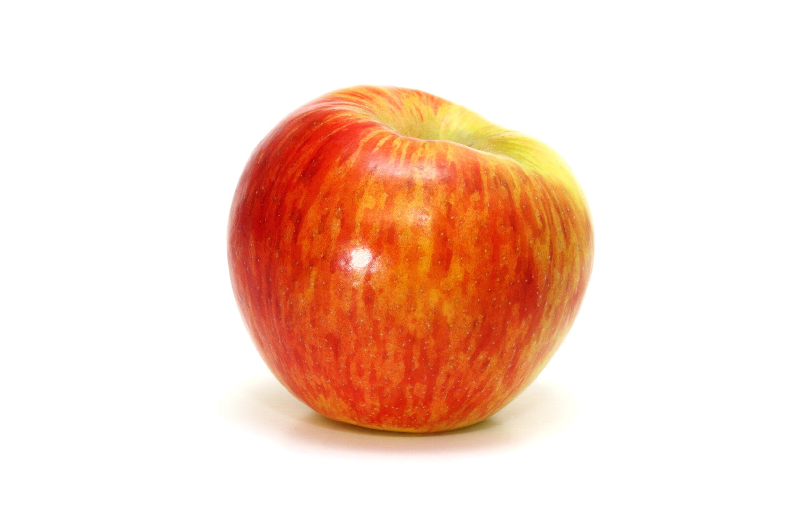 Organic Honeycrisp Apple - EACH