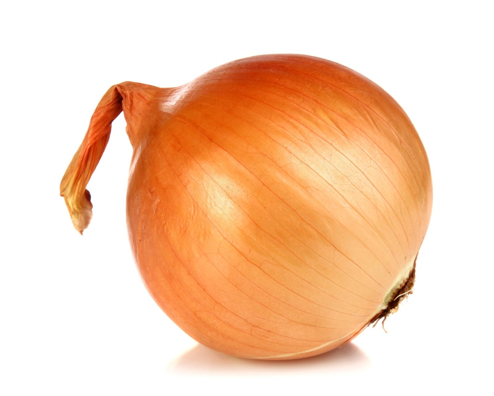 Organic Yellow Onion - EACH