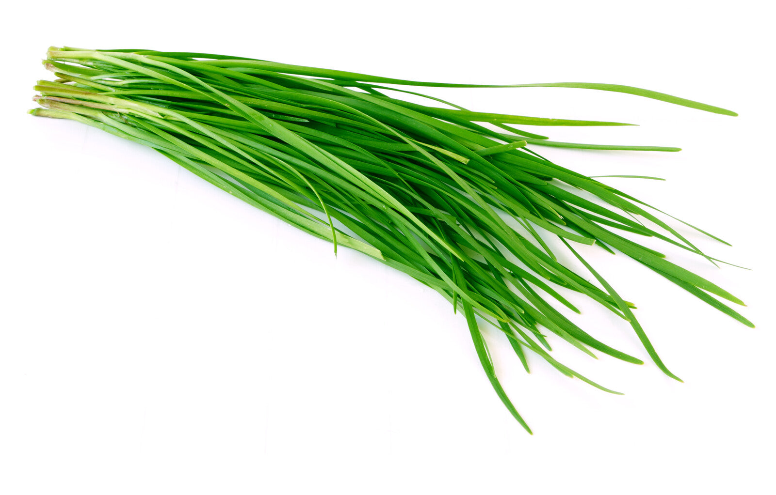 Organic Chives - BUNCH
