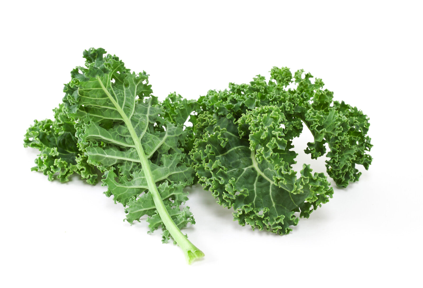 Organic Kale - BUNCH