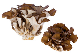 Organic Maitake Mushrooms - 1/2 LB