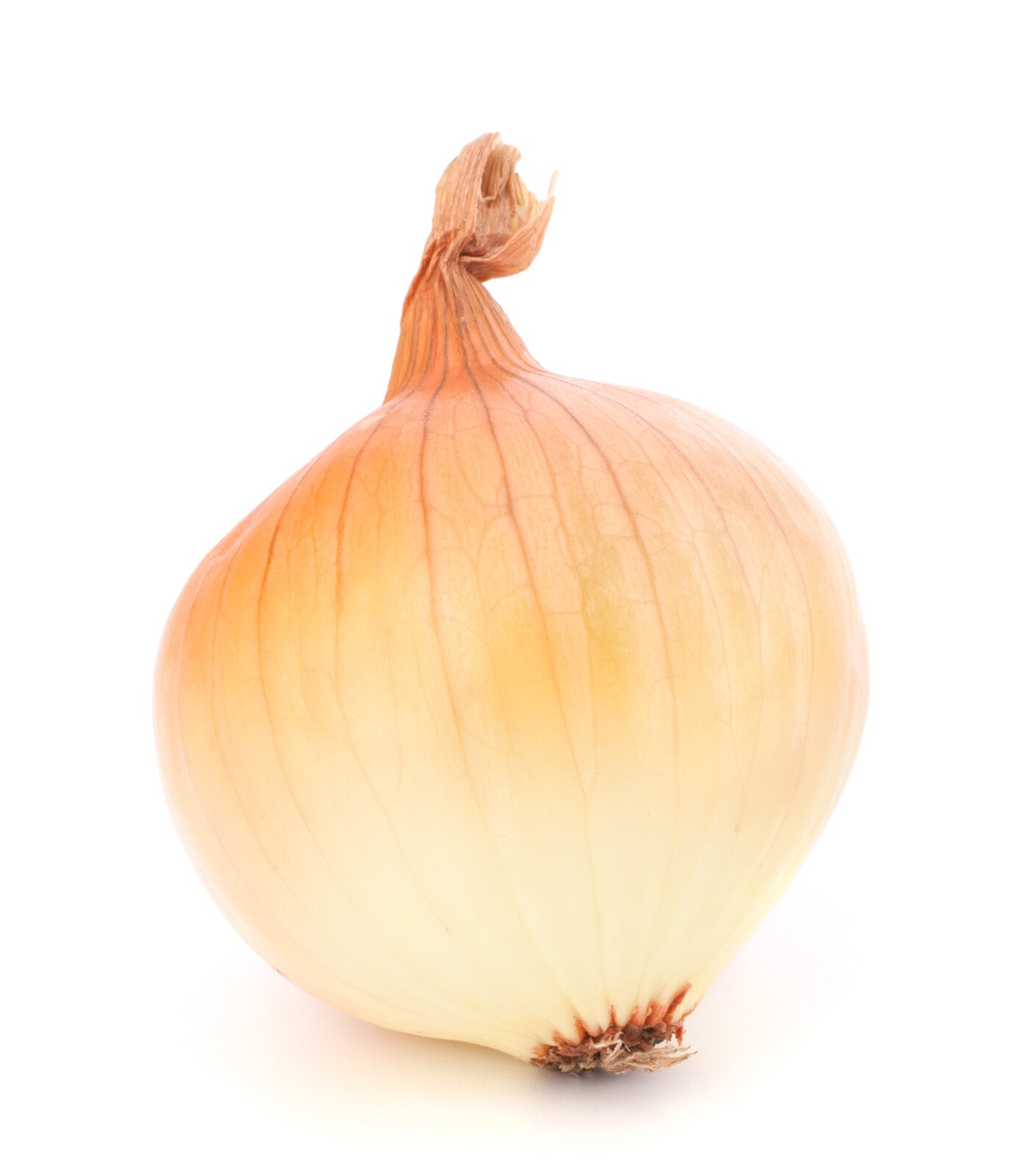 Organic Sweet Onion - EACH