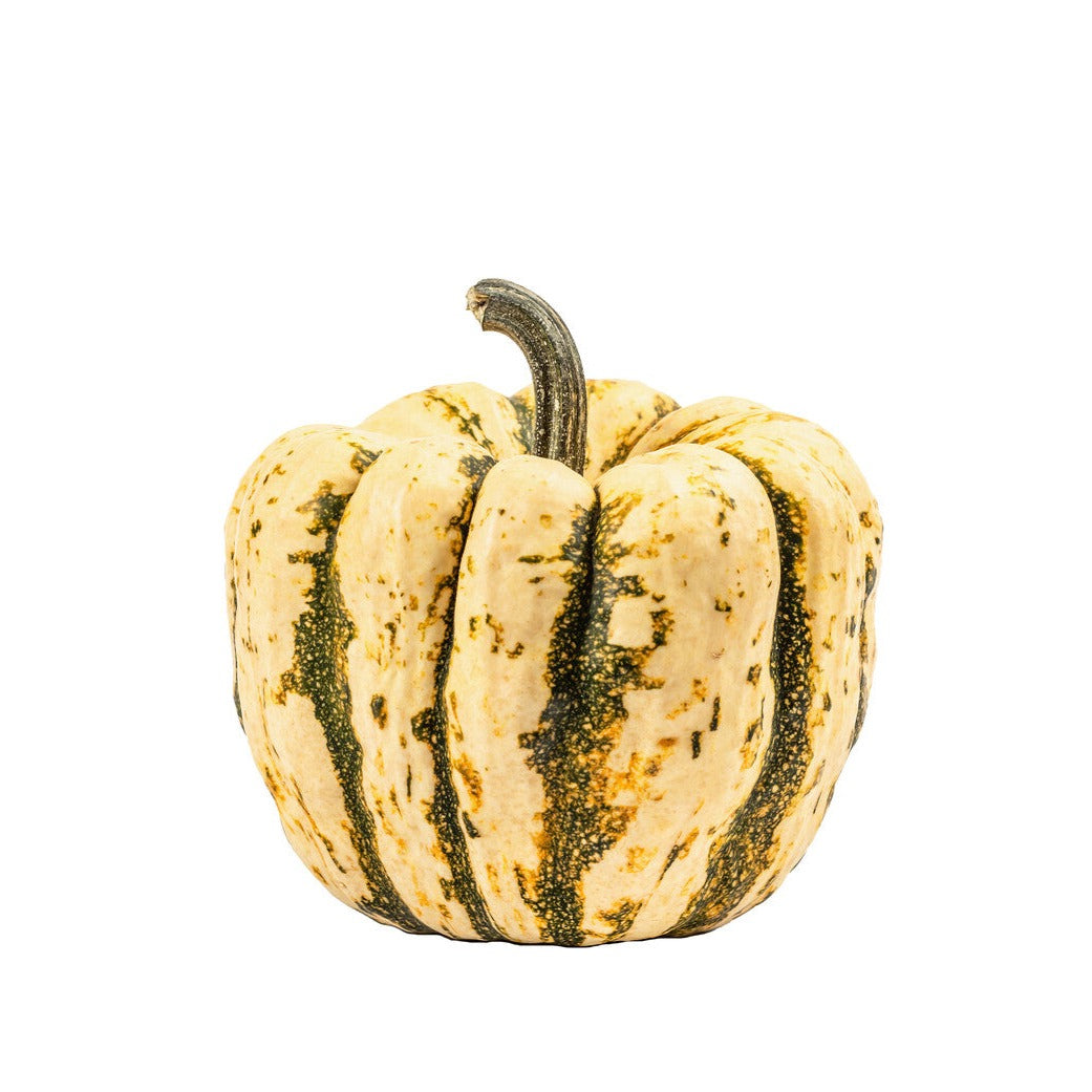 Organic Sweet Dumpling Squash - EACH