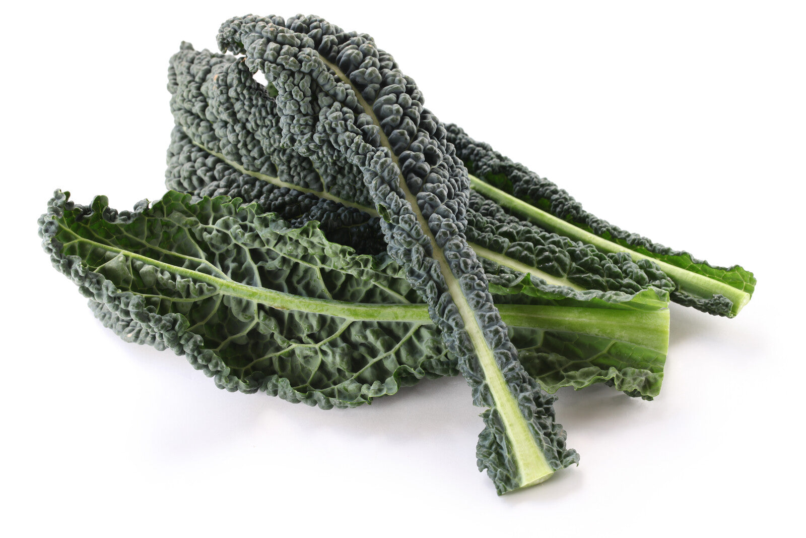 Organic Italian Kale - BUNCH