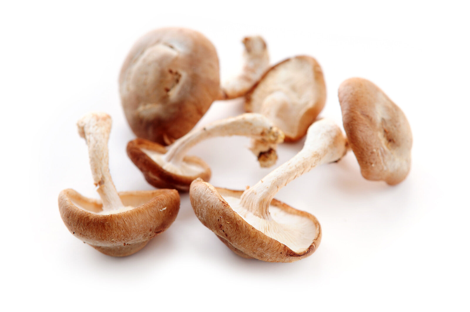 Organic Shiitake Mushrooms - 1/2 LB