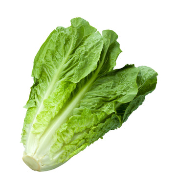 Organic Field Grown Romaine - HEAD