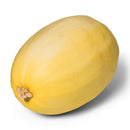 Organic Spaghetti Squash - PER LB-1