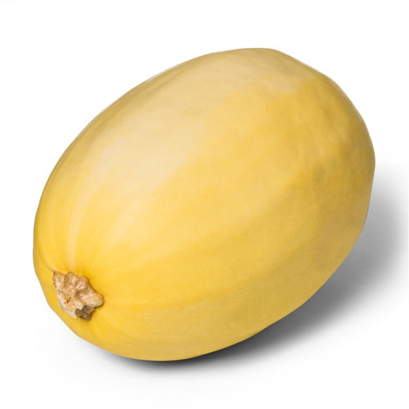 Organic Spaghetti Squash - EACH