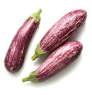 Organic Striped Eggplant - EACH-2